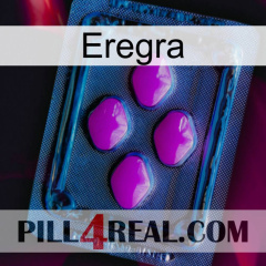 Eregra 04